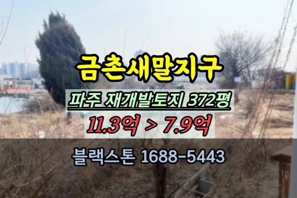  금촌새말지구 입주권 경매 파주 재개발토지 300평대