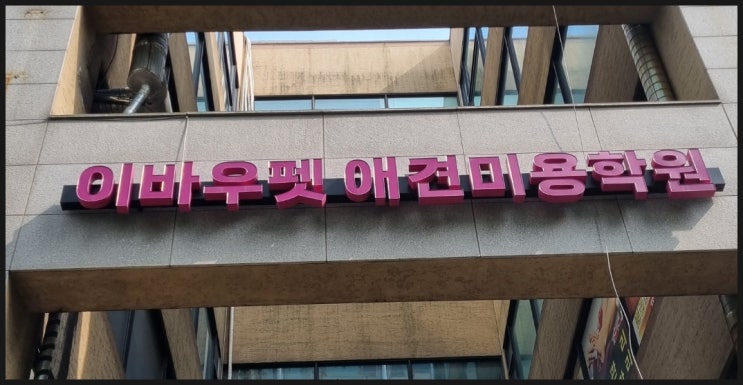  인천 애견미용자격증 취득후 미용실 창업 희망자 필독!
