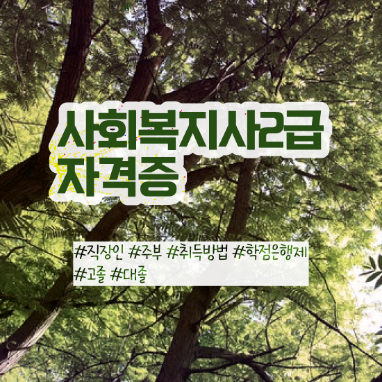  김해 학교사회복지사 역할 사회복지사2급 고졸도 독학으로 간단하게
