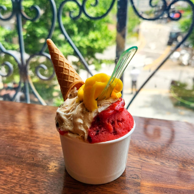  [서울/회현]남산 젤라또 맛집 젤라떼리아 징코 : 내돈내산 방문기