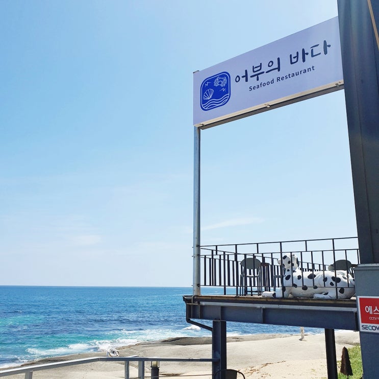  속초 맛집 어부의 바다