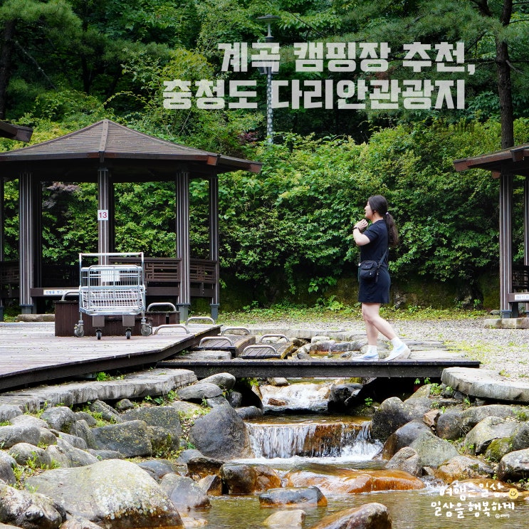  시원한 계곡 있는 캠핑장, 계곡 좋은 충청도 단양 다리안 관광지, 여름 성수기 가격
