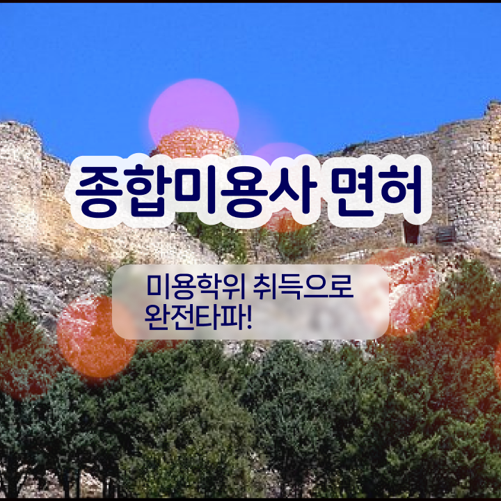  반영구눈썹 문신 , 눈썹 반영구 오픈 시작할 때 취득해야 하는 자격사항 온라인 수업만으로 간편하게