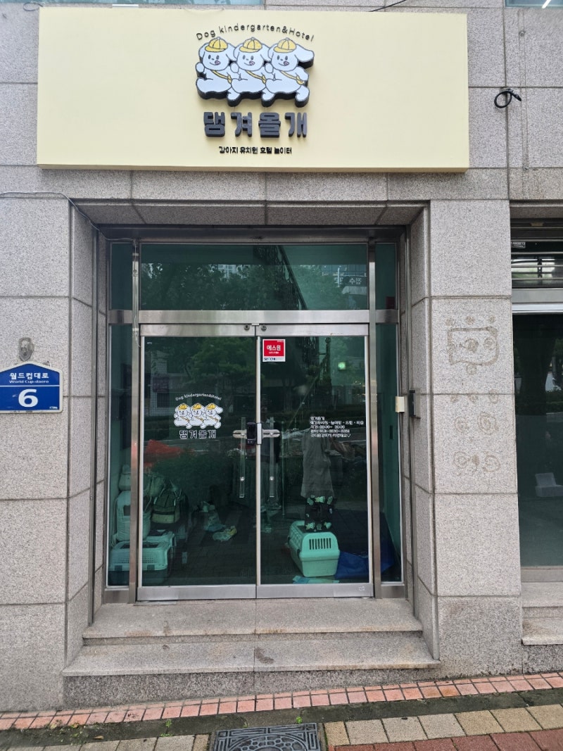 댕겨올개