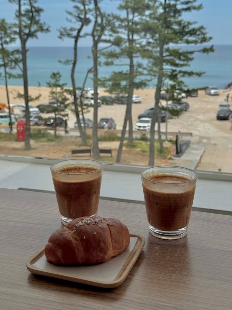  안목해변 카페 로지커피 주차 편한 소금빵 맛집