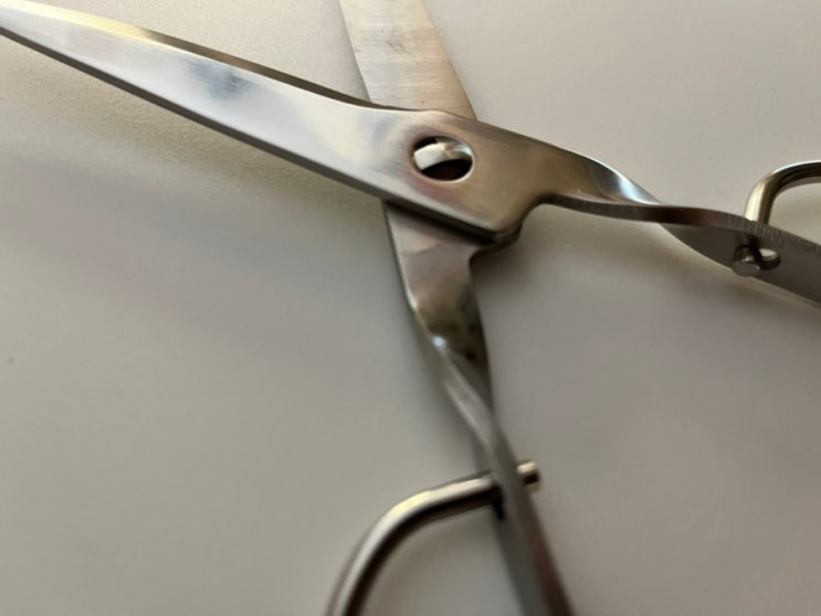  열탕소독가위 위생과 절삭력의 완벽 조화: HESSANC 주방 가위 후기 분리형 스텐 가위 22CM 사용 후기 잘라가위