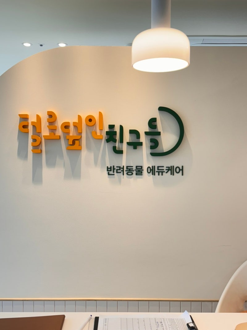 털로덮인친구들 애견유치원 & 애견호텔 수원매교점