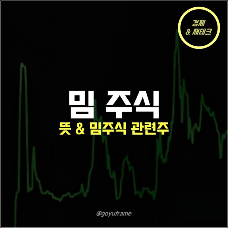  밈주식 뜻과 미국 관련주 사례