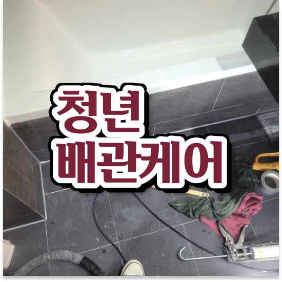  변기막힘 액체 똑소리 나는 팁