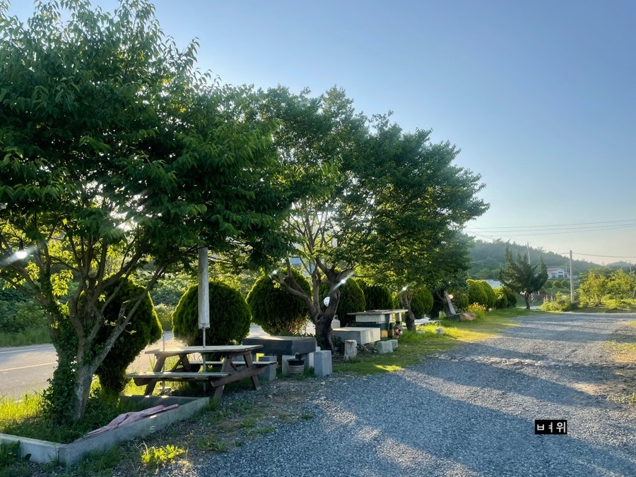 도원참치 사진 1