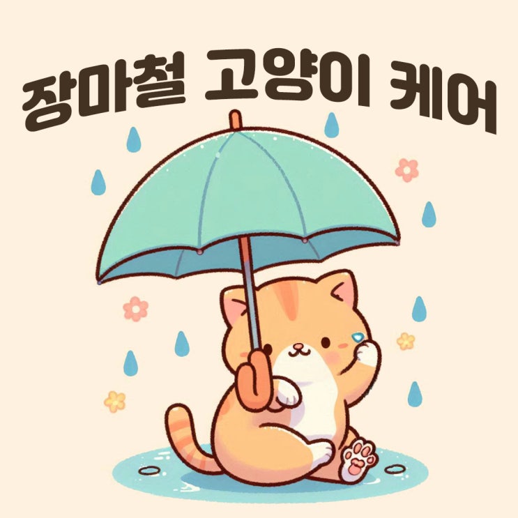  장마철 더 힘들어하는 고양이 케어방법