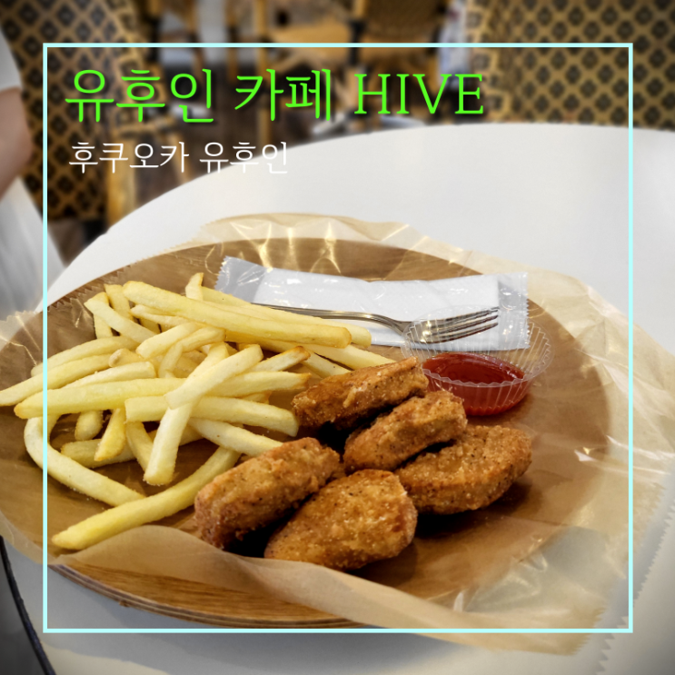  후쿠오카 유후인 조용한 카페 추천 하이브 솔직후기