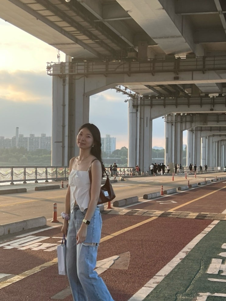  이미스 호보백 에나멜 브라운 EMIS 생일선물 후기