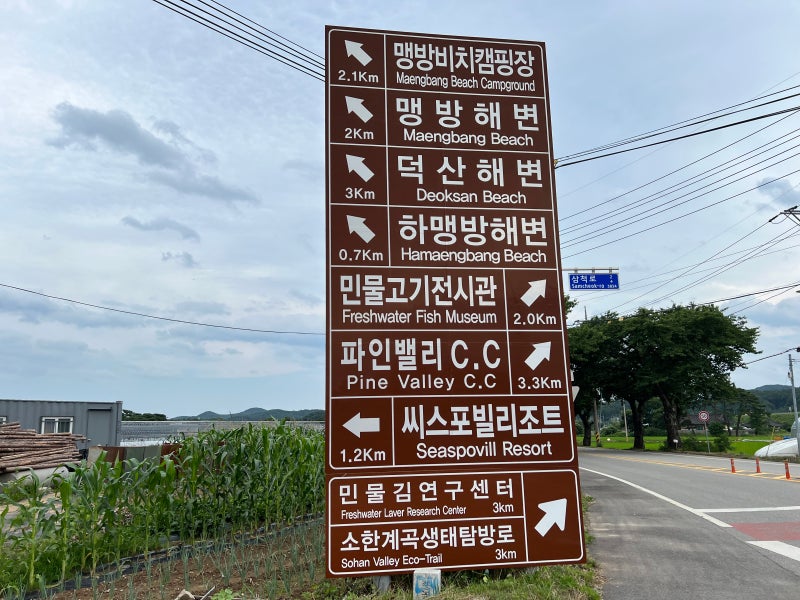 사진 3