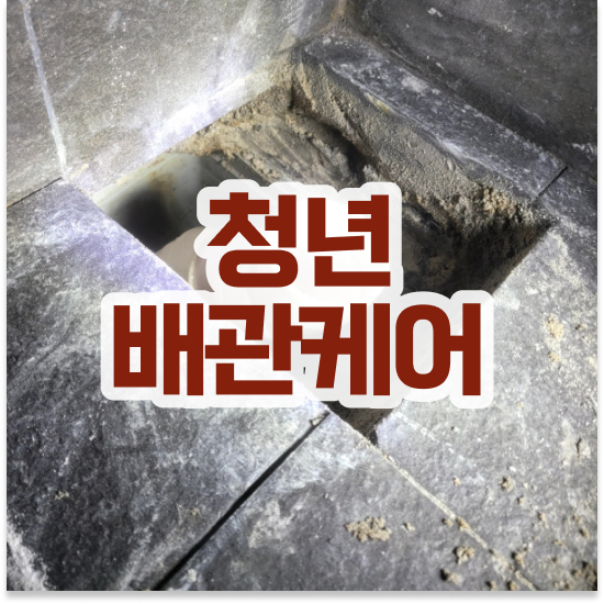  변기막힘 가격 쉽고 빠른 해결법