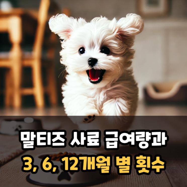  말티즈 사료 급여량과 횟수 3, 6, 12개월