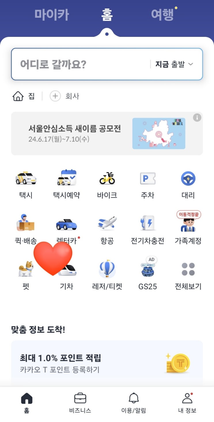 두잇체험택시 두잇 duit 카카오 T 펫 고고카시트 펫택시 후기