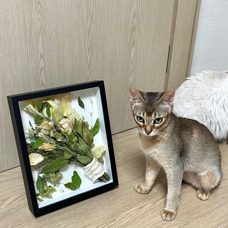  실리카겔 부케 말리기 선물 액자로 변신