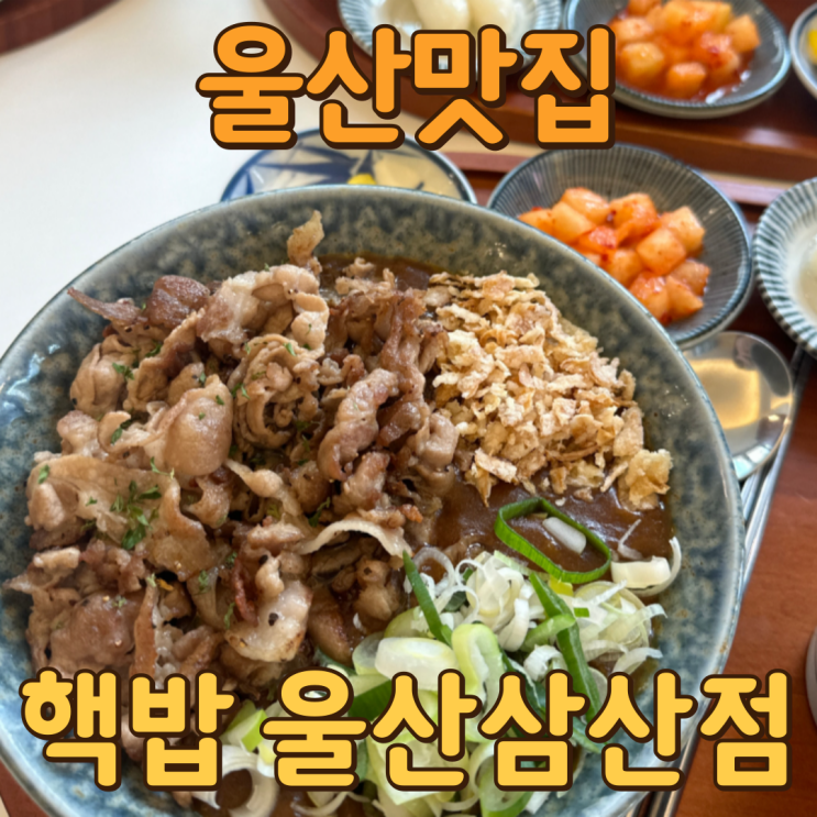  구디맘 블로그 - 울산맛집 [핵밥 울산삼산점] 추천