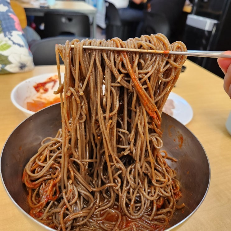  먹을텐데 성시경 맛집 성천막국수 논현점 비빔막국수,제육반접시