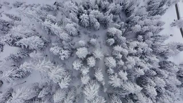  일본 가족여행 추천 , 현지 전문가 가 정리해드려요 (무료 서비스)