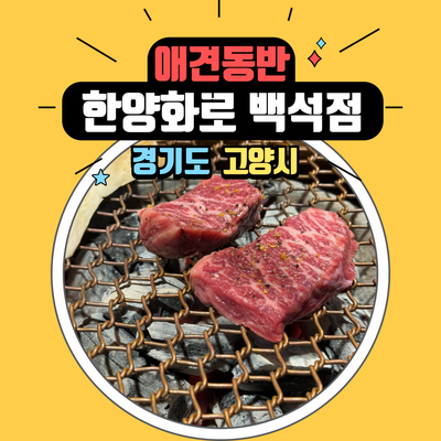  백석역 애견 동반 음식점 한양화로 에서 더지와 함께 편안하게 소고기 먹은 날