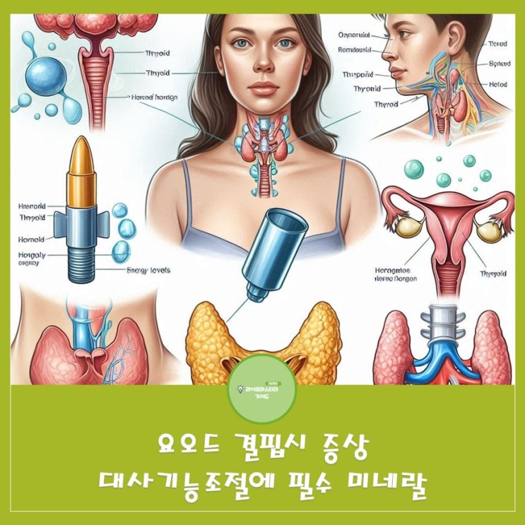  요오드 결핍시 나타나는 증상 |대사기능조절|성장발달기여