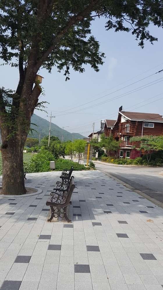 사진 2
