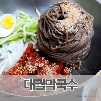  안산 막국수 맛집 대궐막국수