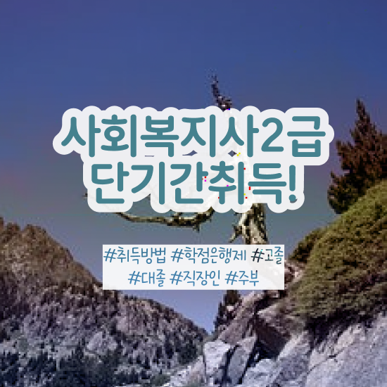  세종시 사회복지사 자격증 사회복지사2급 관련학과 아니어도 온라인 과정으로 편하게
