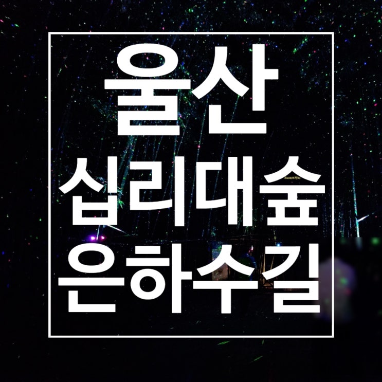  울산 태화강 국가정원 은하수길 | 밤의 매력에 흠뻑 빠지다