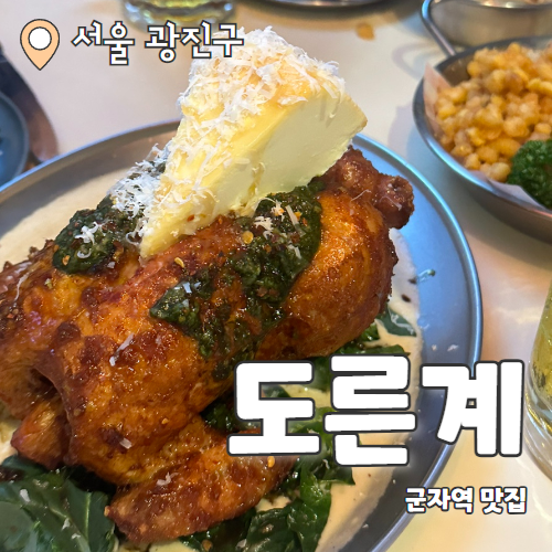  도른계 : 줄서는 식당 나온 군자역 퓨전 치킨집 내돈내산 후기
