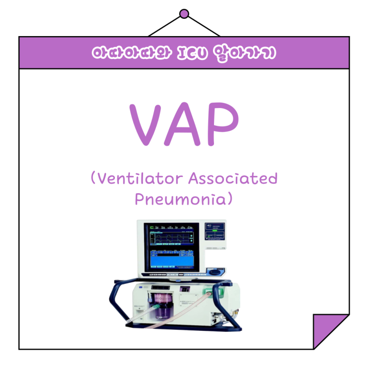  VAP / 인공호흡기 관련 폐렴