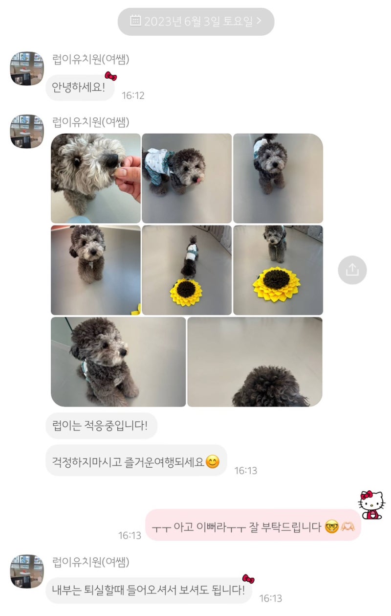 사진 6