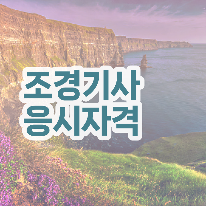  조경 기사인강 조경기사 취득자격 온라인 과정으로 반 년만에 성공한 후기