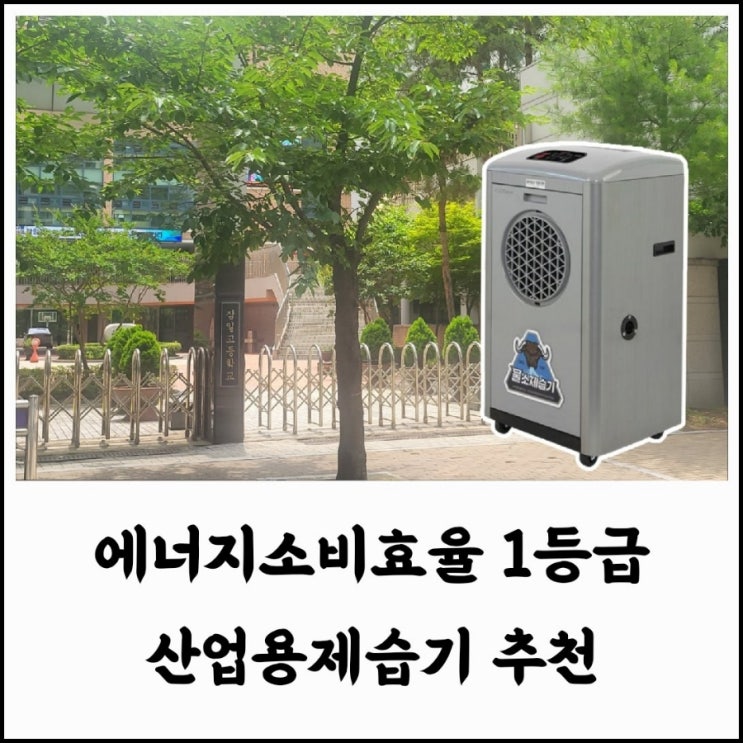 <b>1등급</b> <b>산업용제습기</b> 추천 브랜드 가야블루칩 선택 실사용 후기