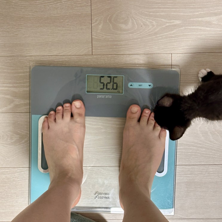  슬로우 다이어트 2일차 식단, 등 운동, 1kg 감량