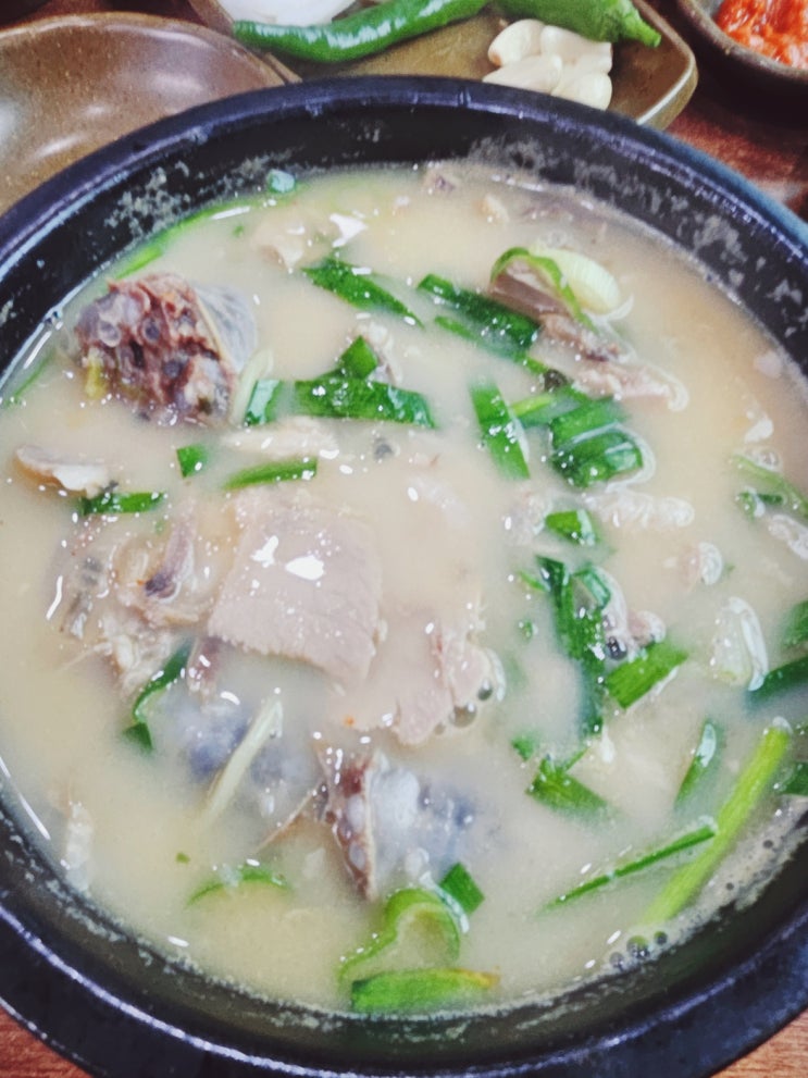  부산 강서구 신호동 돼지국밥 맛집 영진 국밥 내 돈 내산