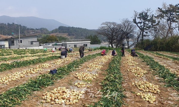  전남도, 8월 폭염·9월 영농철 대비 농업인 안전보험 가입하세요