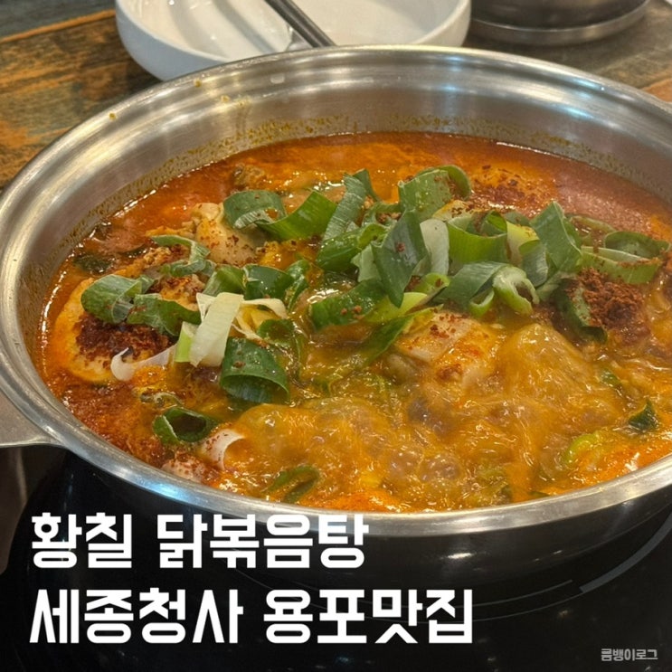  세종청사 용포맛집 황칠 닭볶음탕 2인 여름 보양식 보람동 밥집