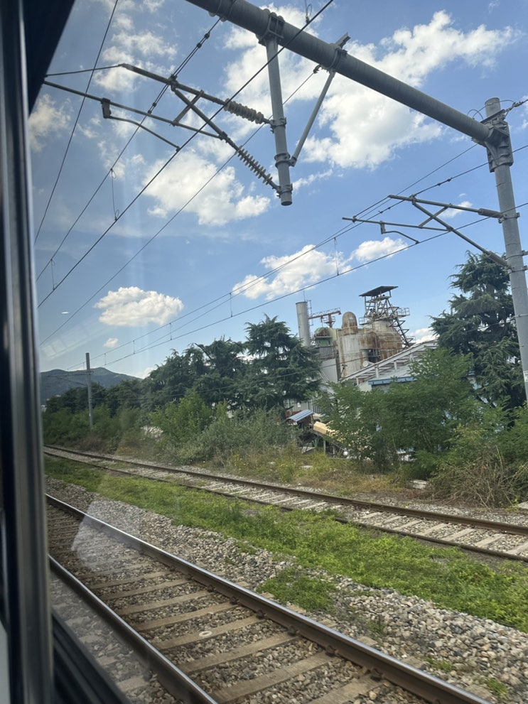  [경상도] 대구 여행 3일차