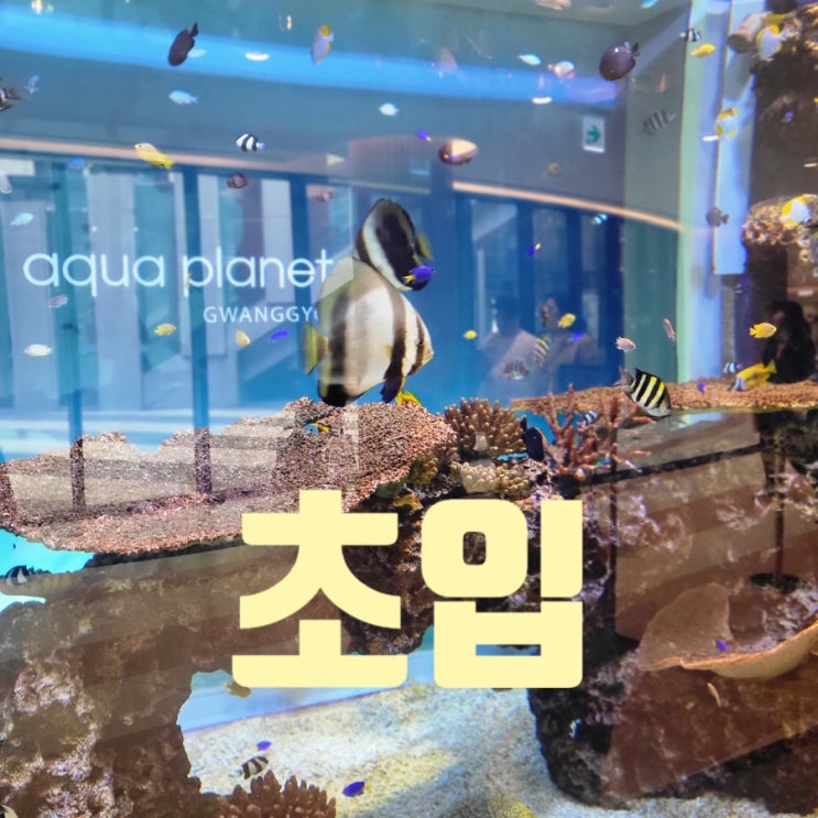 광교실내가볼만한곳 아쿠아플라넷광교주말주차정보 2시간 중복할인없음 광교실내가볼만한곳 아쿠아플라넷광교주말주차정보 2시간 중복할인없음