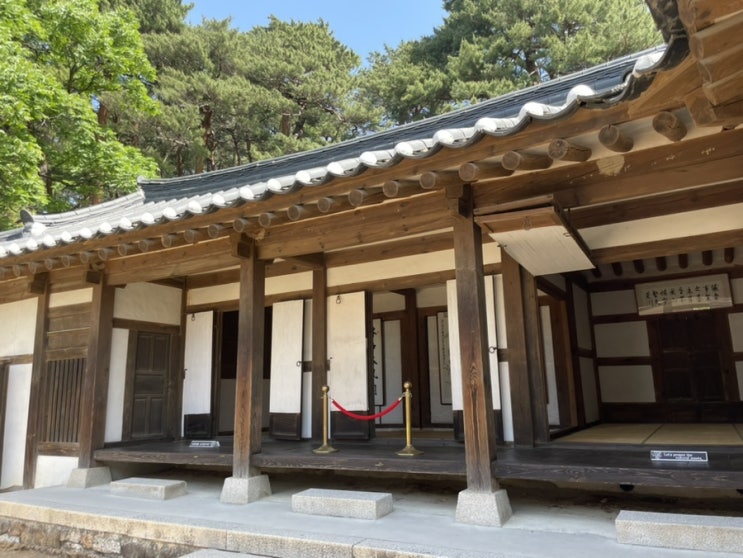  강릉 오죽헌 화폐박물관 아이와 가볼만한곳