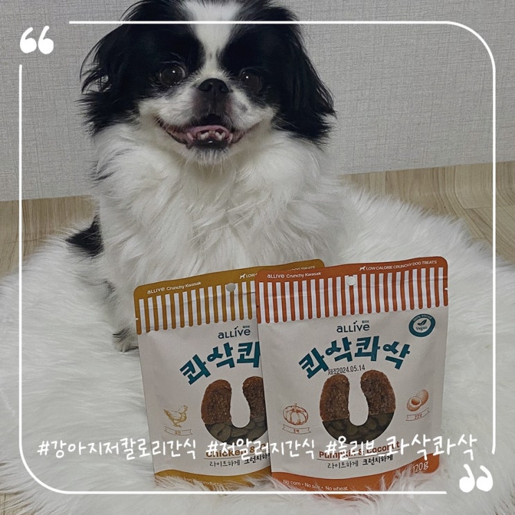 강아지간식추천 강아지다이어트 저칼로리간식 올리브 콰삭콰삭2종