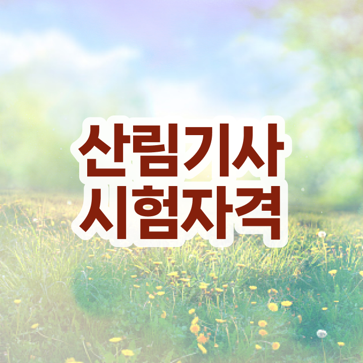  산림기사 자격증 산림기사 응시자격 집에서 온라인으로 빠르게 성공한 비법