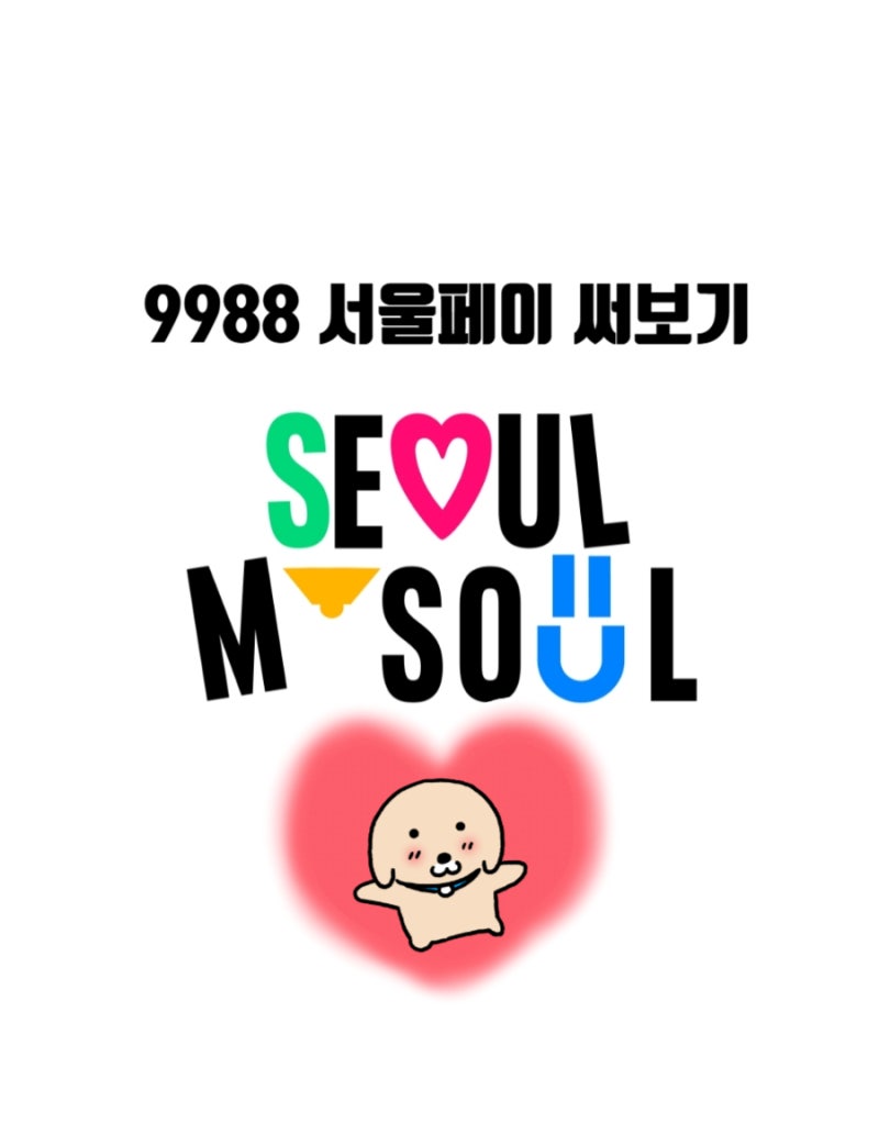 서울페이 가맹점 사용법 사용처 제로페이 결제 9988 : 네이버 블로그