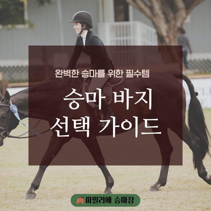  완벽한 승마를 위한 필수 아이템: 승마바지 선택 가이드
