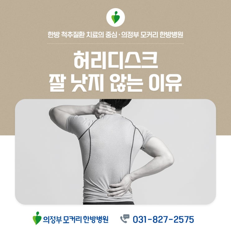  양주 옥정한방병원 허리 디스크가 잘 낫지 않는 이유