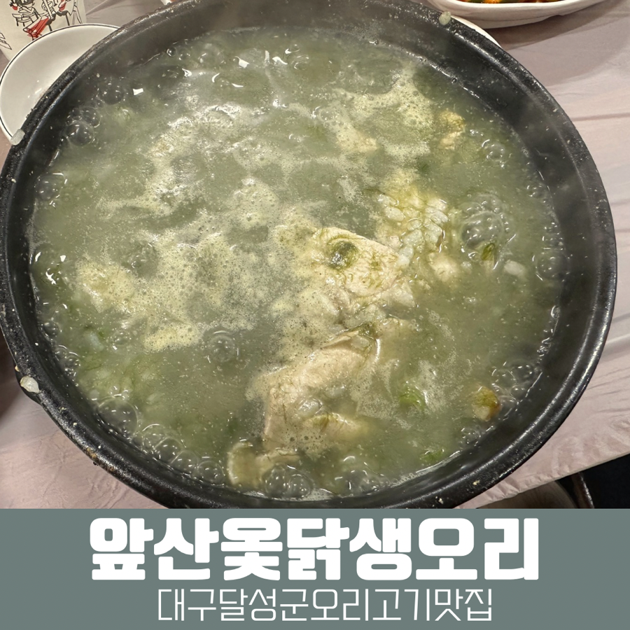 앞산옻닭생오리 사진 1