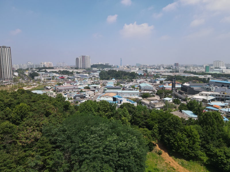 사진 2
